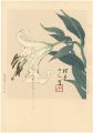 百合（仮題）