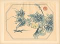 ヘチマ（仮題）
