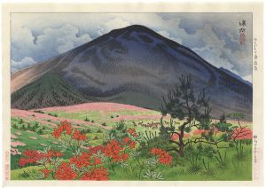 10 Sights of Shinano / Field of Azalea in the Early Summer