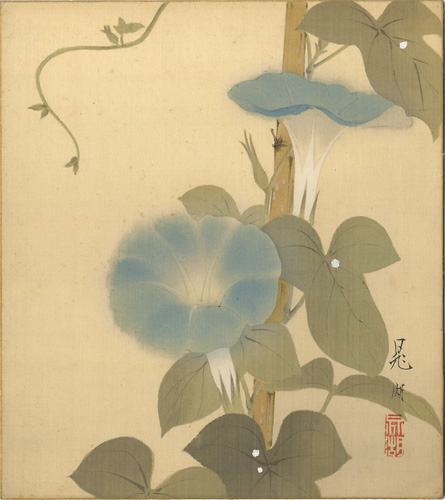 鴨下晁湖「自筆色紙　朝顔」