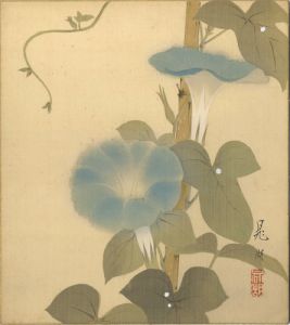 鴨下晁湖「自筆色紙　朝顔」