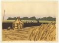 Wheat Harvest 