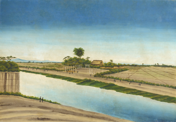 Unknown “Doro-e : Mimeguri Shrine”