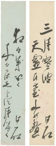 Inoue Nissyou / Tanzaku