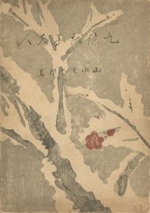 「九條武子夫人」山中峯太郎