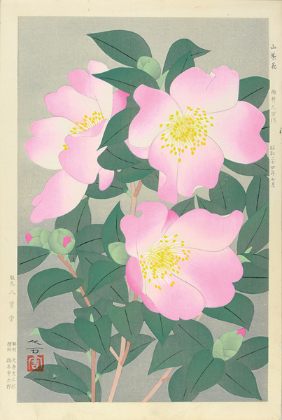 Mukai Kuma “Sasanqua (Camellia)”