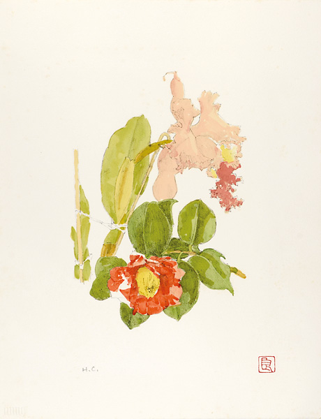 Koiso Ryohei “Camellia and Orchid”