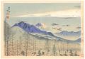 36 Views of Mt. Fuji / Distant......