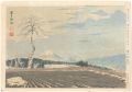 36 Views of Mt. Fuji / 
