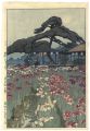 12 Scenes of Tokyo / The Iris ......