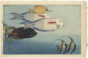 Yoshida Hiroshi / The Honolulu Aquarium