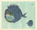 Nameles Fishes