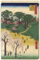 100 Views of Edo / Temple Gard......