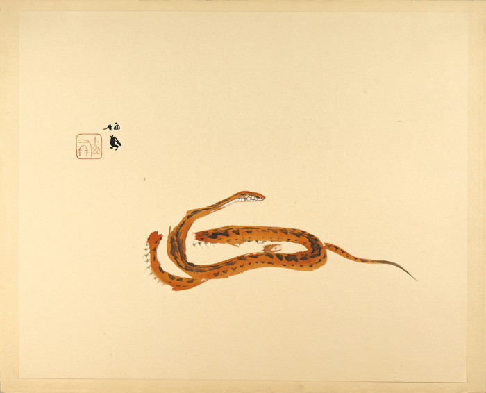 竹内栖鳳「蟠蛇」