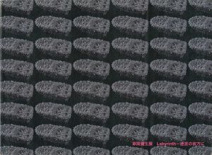「草間彌生展 Labyrinth 迷宮の彼方に」
