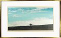 Landscape(D)