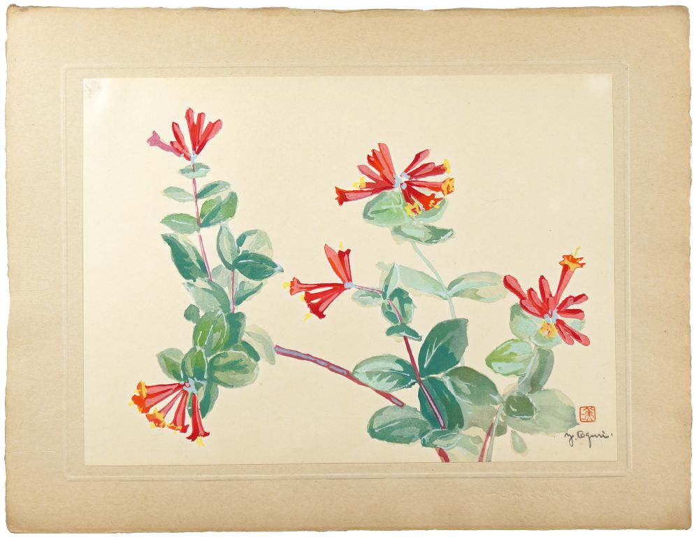 Oguri Yoshiji “Trumpet Honeysuckle”