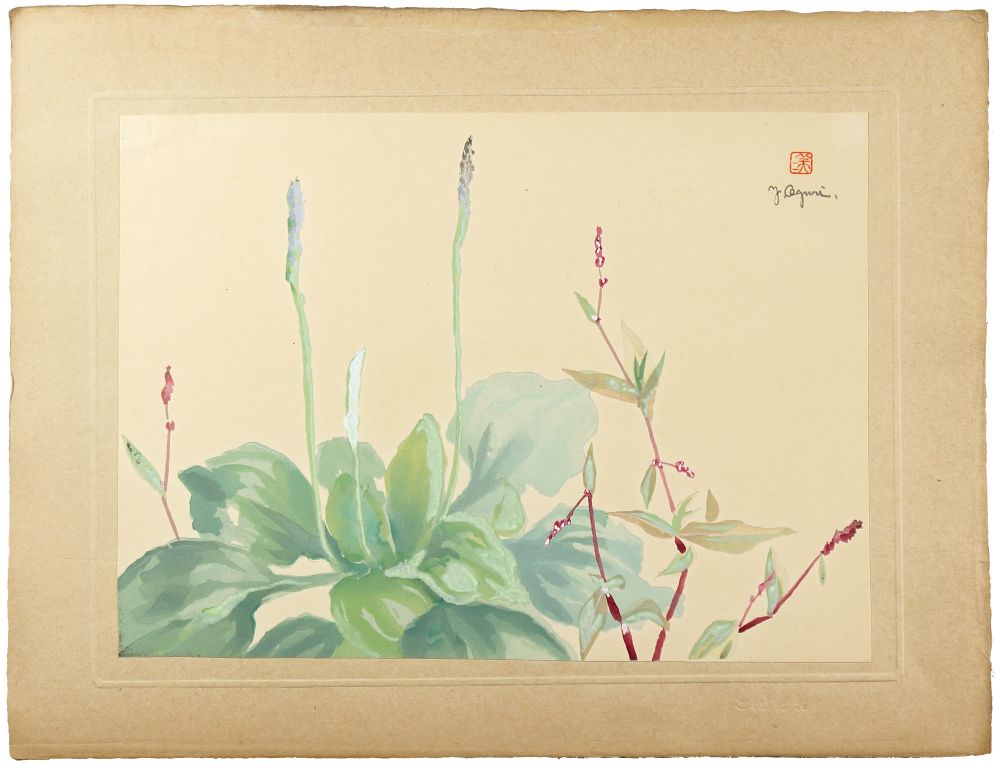 Oguri Yoshiji “Chinese Plantain”