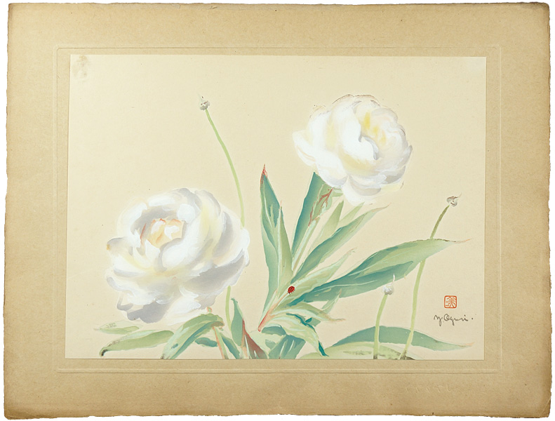 Oguri Yoshiji “Peony”