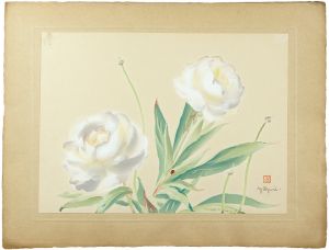 Oguri Yoshiji / Peony