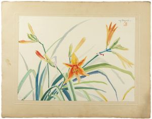 Oguri Yoshiji / Daylily
