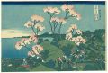 Thirty-Six Views of Mt. Fuji /......