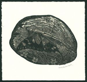 Wakuta Toshiyuki / Ex Libris / Swallowtail