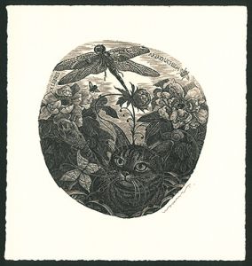 Wakuta Toshiyuki / Ex Libris / Cat & Anax Parthenope 