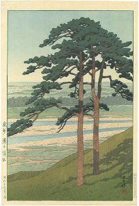 Kawase Hasui / Ruins of Takiyama Castle