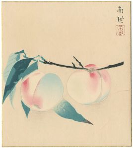 Katayama Nanpu / Peach(tentative title)