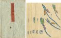 Woodblock Print Postcard vol.5......