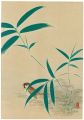 雀（仮題）