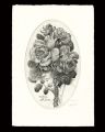 Remembrance of Roses
