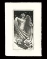 Angel of The Bibliophile