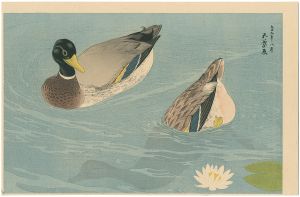 Hashiguchi Goyo / Ducks