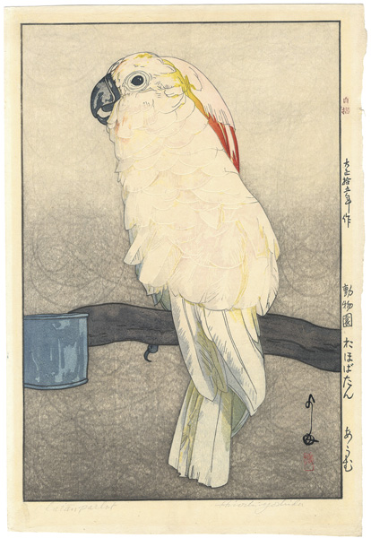Yoshida Hiroshi “At the Zoological Garden / Salmon-crested Cockatoo”