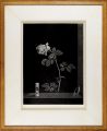 La rose et le temps