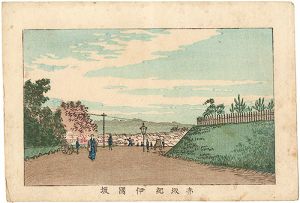 Yasuji,Tankei / True Pictures of Famous Places of Tokyo / Kinokuni Hill, Akasaka [東京真画名所図解　赤坂紀伊国坂]
