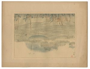 Hirahuku Hyakusui / Landscape Prints of Japan / Series 3, Touhoku : Hiraizumi