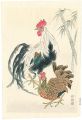 鶏