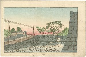 Yasuji,Tankei / True Pictures of Famous Places of Tokyo / Aoizaka [東京真画名所図解　葵坂]