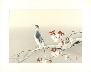児玉希望「春晴」