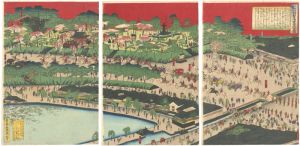 Toshimitsu / National Industrial Exposition in Ueno Park, Tokyo [上野公園地内國勧業博覧会開業図]