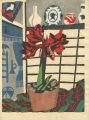 Amaryllis