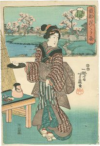 東都花くらべ　向嶋のさくら
