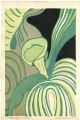 Ladyslipper Orchid