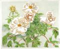 White Peony