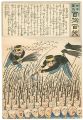 Hurrah for Japan! 100 Collecte......