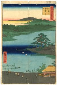 Hiroshige I / 100 Famous Views of Edo / A Pine Tree at the Lake Senzoku [名所江戸百景　千束の池 袈裟懸松　]