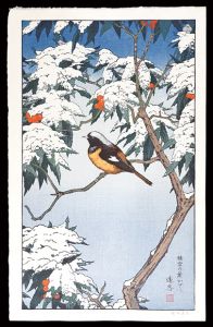Yoshida Toshi / 積雪の葉かげに